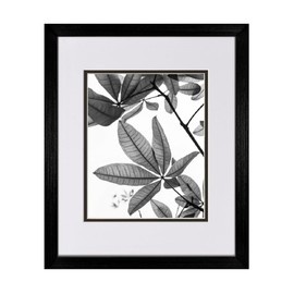 Set of 2-16X20 Black Coastal Wood Picture Frame with Clear Glass and White/Black Mat for 12x16 (Set of 2)