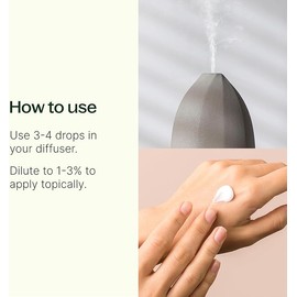 Plant Therapy Christmas Tree Holiday Essential Oil Blend 100% Pure-Undiluted-Natural-Therapeutic Grade 10 mL (1/3 oz)