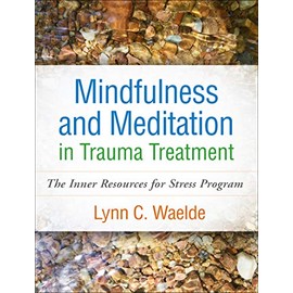 Mindfulness and Meditation in Trauma Treatment: The Inner Resources for Stress Program