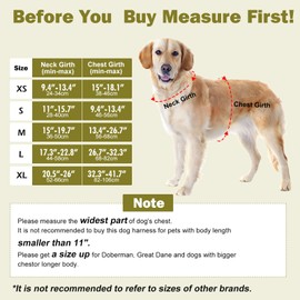 Tacwild No Pull Dog Harness - Adjustable Reflective Dog Vest with Metal Snap, Soft Breathable Mesh No Choke Puppy Harness, Easy to Put on & Take Off (Green-XL)