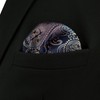 S&W SHLAX&WING Mens Paisley Pocket Squares XL Large for Wedding