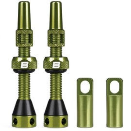 BWSHLF Tubeless Presta Valve Stem 40/44/55/60/65/80/100 mm, Super Light Alloy Presta Valve Stem Kit with Valve Core Remover Tool and Valve Stem Caps - Multiple Color and Size Options(Pair)