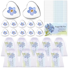 Kklolai 25 Sets Forget Me Not Funeral Favours Heart-shaped Dried Pressed Blue Flower Keepsakes with Memorial Cards Remembrance Gifts for Loss of Loved One Memorial Service Guests Ornament Keepsakes