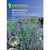 Nepeta fassenii Felix Catnip Blue