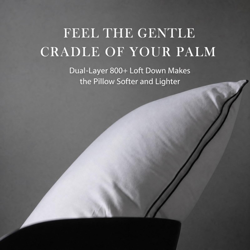 Goose Down Pillow, Queen Size Set of 1 with 3-Layer