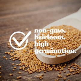 Dun Pea Microgreens Seeds – 1 Lb (~2,300 Seeds) – Non-GMO, Heirloom, Open Pollinated – Perfect for Home Gardens, Salads, and Smoothies – Fast-Growing, Nutritious Microgreens