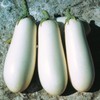 RAISE ME UP: Seeds White Eggplant Aubergines Non GMO Heirloom