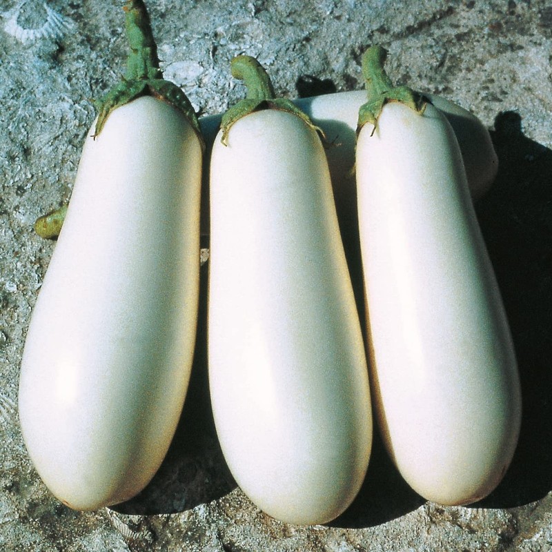 RAISE ME UP: Seeds White Eggplant Aubergines Non GMO Heirloom