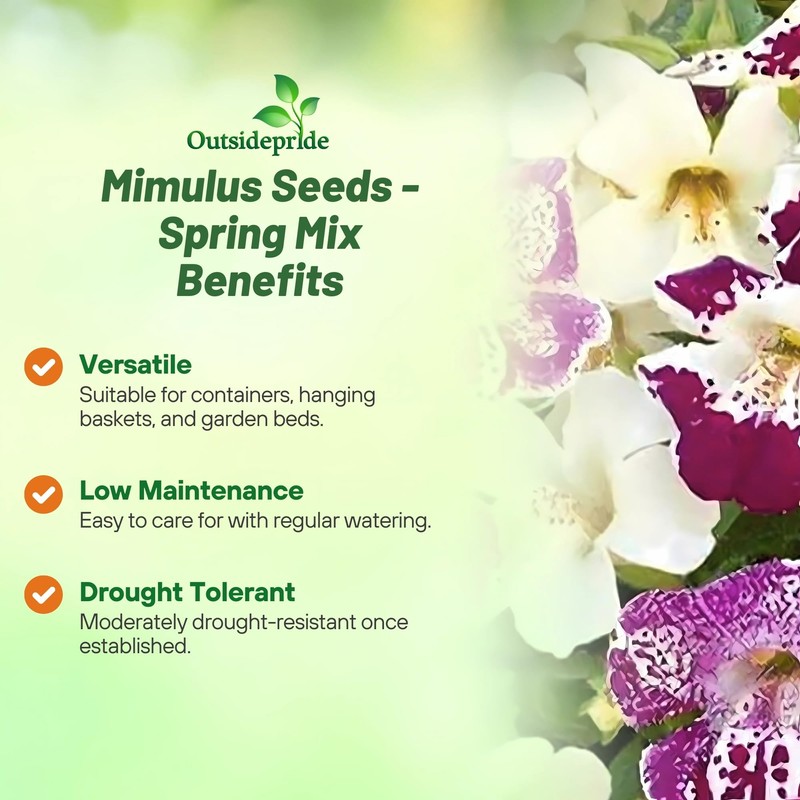 Outsidepride Spring Mix Mimulus Seeds - 100 Pcs Annual, Compact,