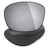 Mryok Polarized Replacement Lenses for Oakley Enduro - Silver Titanium