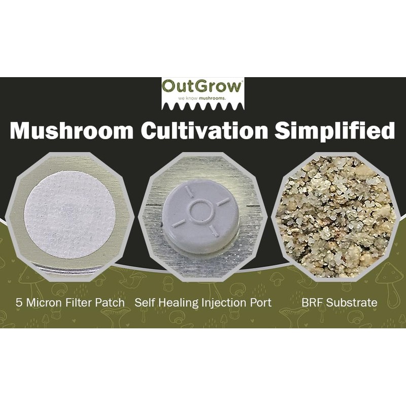 BRF Jars Mushroom Substrate (12 Pack)
