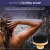 INTER-ESQUE Scalp Massager - Scalp Massage Brush - Head Massage