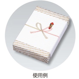 マルアイ のし紙 祝 蝶結び 厚口 切手 100枚 ノイ-N101