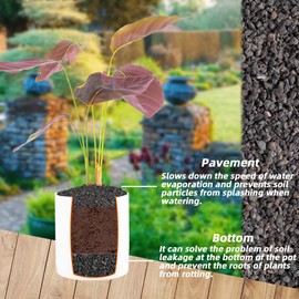 7LB Black Horticultural Lava Rock Soil for Decorative Landscaping Bonsai, Cacti, Succulents Plants Top Dressing for Release Excess Water