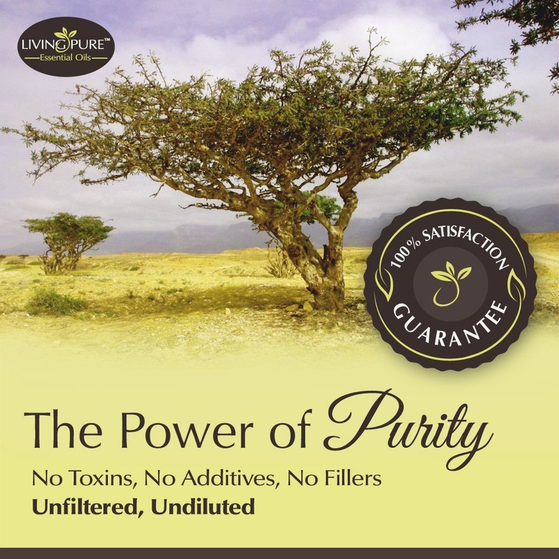 Living Pure Frankincense Essential Oil | 100% Natural & Organic