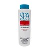 Spa Essentials 32518000 pH Increaser Granules for Spas and Hot