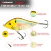 Robinson Fishing Lure for Large Predatory Fish - Jerkbait Wobbler,