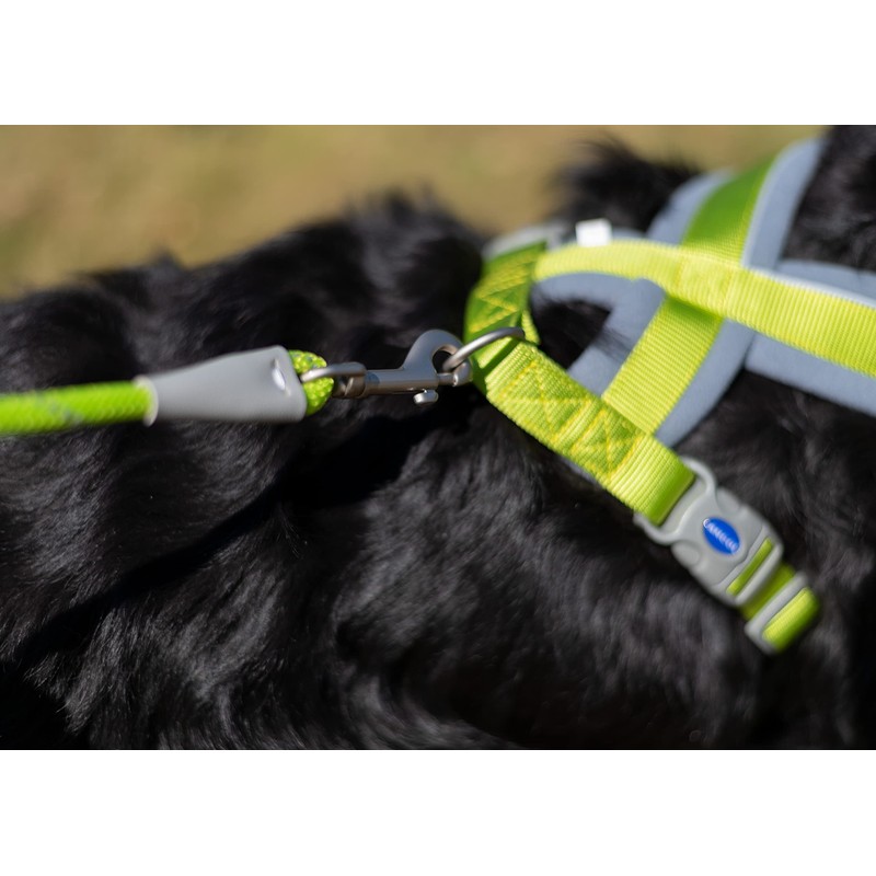 Ancol Viva Padded Harness Lime M 41-53cm