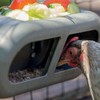 BZ Chicken Feeder 30 x 14 x 13 cm Grey