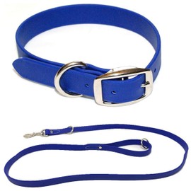 Regal Dog Products Medium Blue Waterproof Dog Collar and Leash Set | Heavy Duty Double Buckle & D Ring - 5'ft Leash | Adjustable Biothane Dog Collar | Chew Resistant Waterproof Collar for Dogs