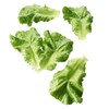 Deco Woerner Decorative Dummy Salad Leaves Set Green Food Dummy