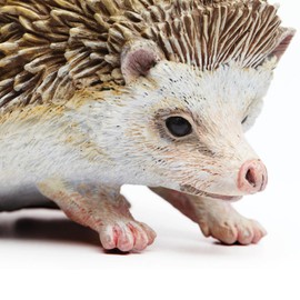 Safari Ltd. Hedgehog Figurine - Detailed 3.5" Plastic Model Figure - Fun Educational Play Toy for Boys, Girls & Kids Ages 18M+