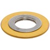 Metal Reinforced Mica Graphite Flange Gasket, Ring, Fits Class 150