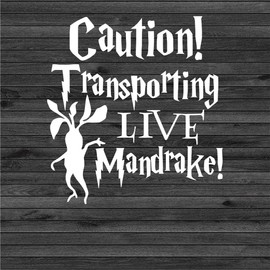 6inch Funny Baby On Board Sticker for Cars Boys Girls - Baby On Board Sign - Baby On Board Decals for Car Windows - Baby On Board Window Sticker Removable - Kids Children Twins On Board BOB042