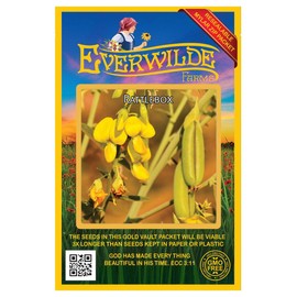 Everwilde Farms - 100 Rattlebox Native Wildflower Seeds - Gold Vault Jumbo Seed Packet