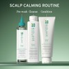 Champú calmante Biolage Scalp Sync | Calma e hidrata el