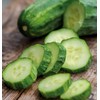 Burpee 'Bush Champion' Slicing Cucumber Seeds, 60 Non-GMO seeds, Container