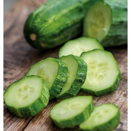 Burpee 'Bush Champion' Slicing Cucumber Seeds, 60 Non-GMO seeds, Container Friendly, Burpee Exclusive