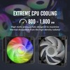 Dracaena.io 240mm AIO CPU Cooler - Single, Quiet PWM Fan