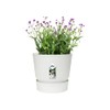 Elho Greenville Plastic Planter