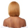Outre EveryWear Lace Front Wig EVERY2 (DRFF4/CHAM)