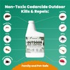 CEDARCIDE Outdoor Bug Control Concentrate | Kills & Repels Mosquitoes,