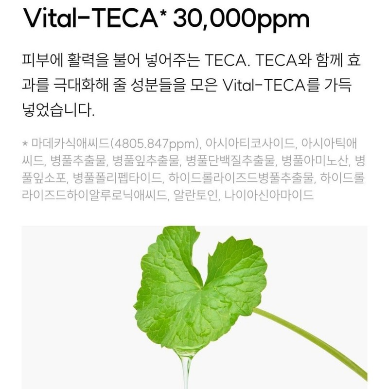 Teca Cream Deca Centella Centella Centella Asiatica Dermatological Regeneration Fine