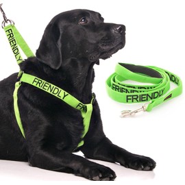 FRIENDLY (Known as Friendly to all) Green Colour Coded L-XL Non-Pull Dog Harness and 60cm 1.2m 1.8m Luxury Neoprene Padded Handle Lead Sets PREVENTS Accidents By Warning Others Of Your Dog In Advance (Harness & 1.8m)