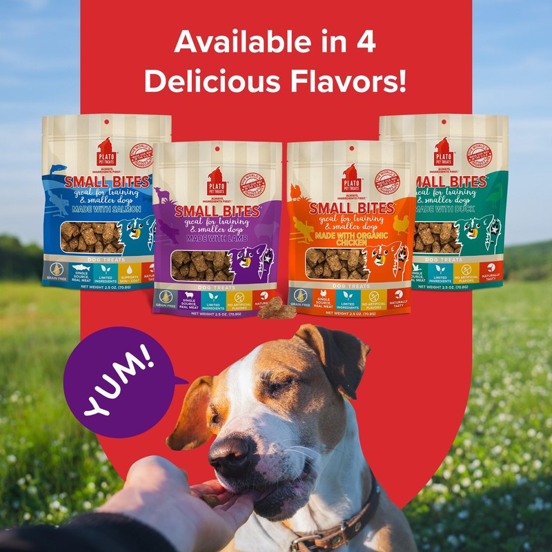 Plato Pet Treats Small Bites - Air-Dried Training Treats for