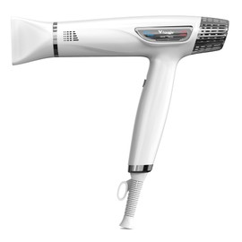 Fast Drying Hair Dryer,Negative Ionic Blow Dryer with High-Speed 110,000 RPM Brushless Powerful Digital Motor,Low Noise Thermo-Control Hairdryer Low Noise (White)