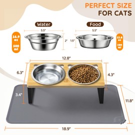 Elevated Cat Food Bowls with Mat, 2 Stainless Steel Raised Cat Food and Water Bowls, 15 Tilted Stand Anti Vomitting, Whisker Fatigue, Dishwasher Safe Cat Bowl