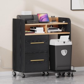 DWVO Printer Stand with Storage, File Cabinet with Charging Station, Printer Table Cabinet for Home Office, Printer Stand Cart, Fits A4, Letter, Legal Size Files, Office Furniture, Black