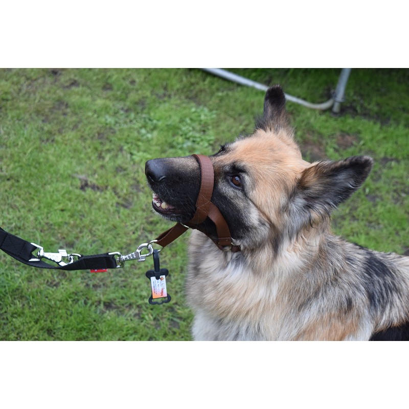 Headcollar Dog Halter/Training Head Collar Training Tool Dog, Head Harness