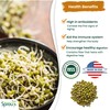Nature Jims Premium Mung Bean Sprouting Seeds – 16 Oz