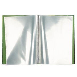 Idena 20131 Certificate Folder in Dinosaur Design with 12 Sleeves for DIN A4 Format