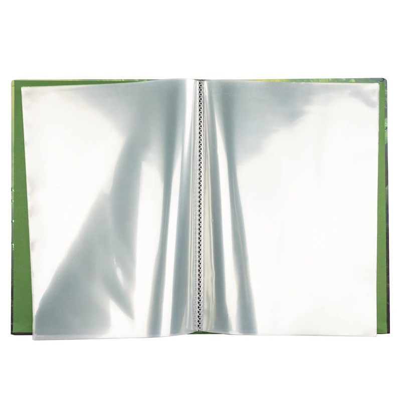 Idena 20131 Certificate Folder in Dinosaur Design with 12 Sleeves