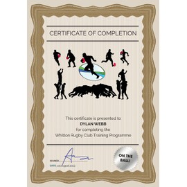 Computer Craft A4 Certificate Papers with Foil Seals, 90gsm, Bronze Wave [Pack of 30]