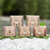 pandoo Shaving Soaps 100 g, Into the Woods, Shaving Cream