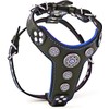 Bestia Bijou'' Genuine Leather Studded Dog Harness for Small to