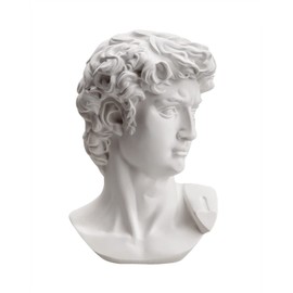 Waldosia 6 Inch Michelangelo's David Bust Statue (White)